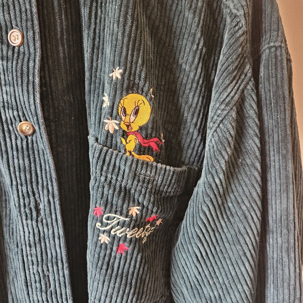 Warner Bros. Teal Corduroy Shirt - Picture 4 of 5